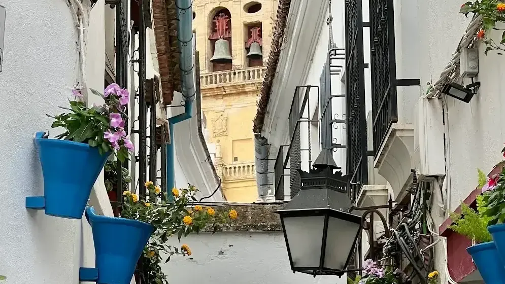 Vue de Calleja de las Flores