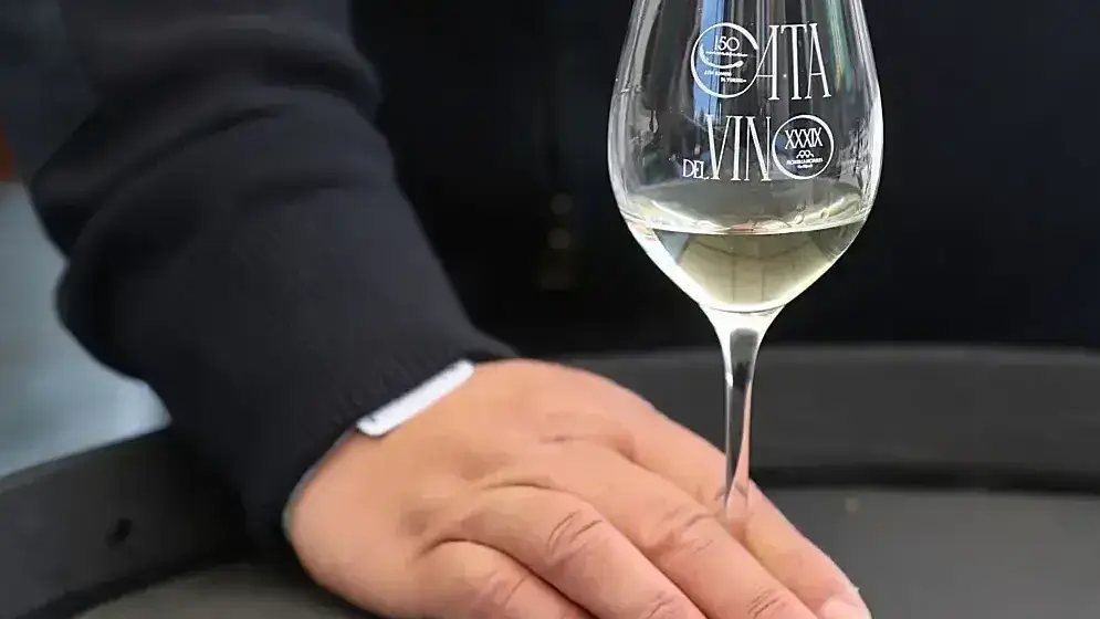 Dégustation Montilla-Moriles