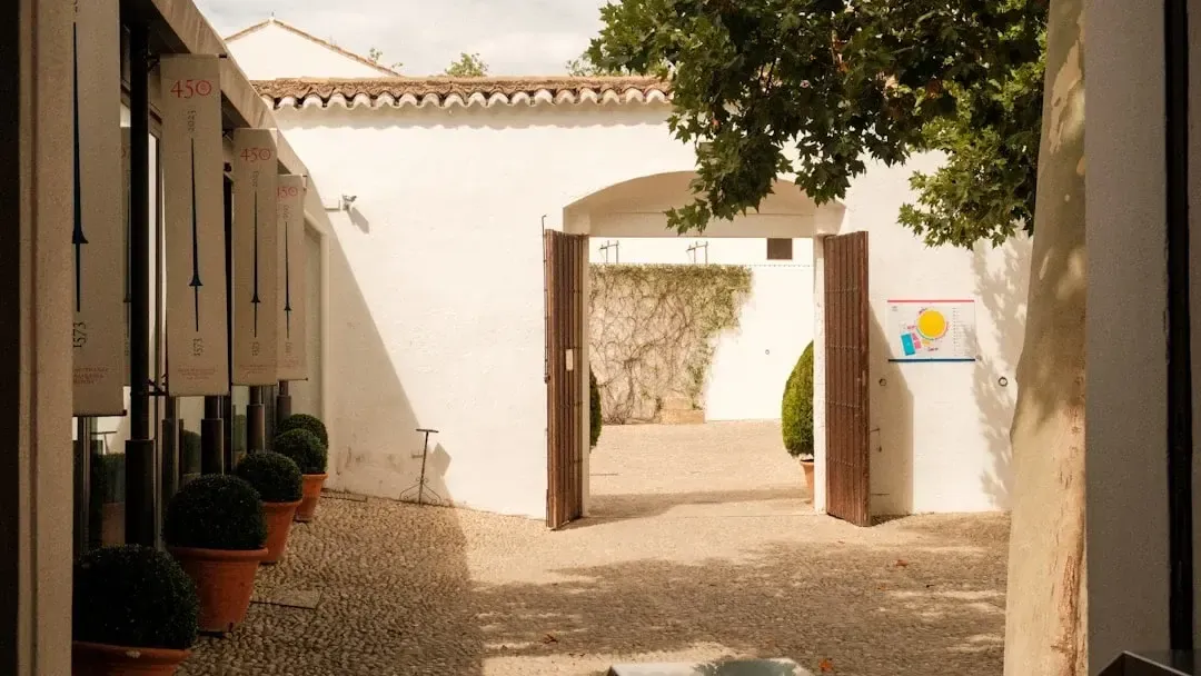 Dégustation de vin à Montilla-Moriles