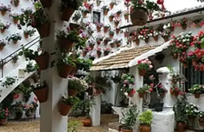 Patio fleuri avec géraniums rouges et jasmin lors du Festival des Patios de Cordoue