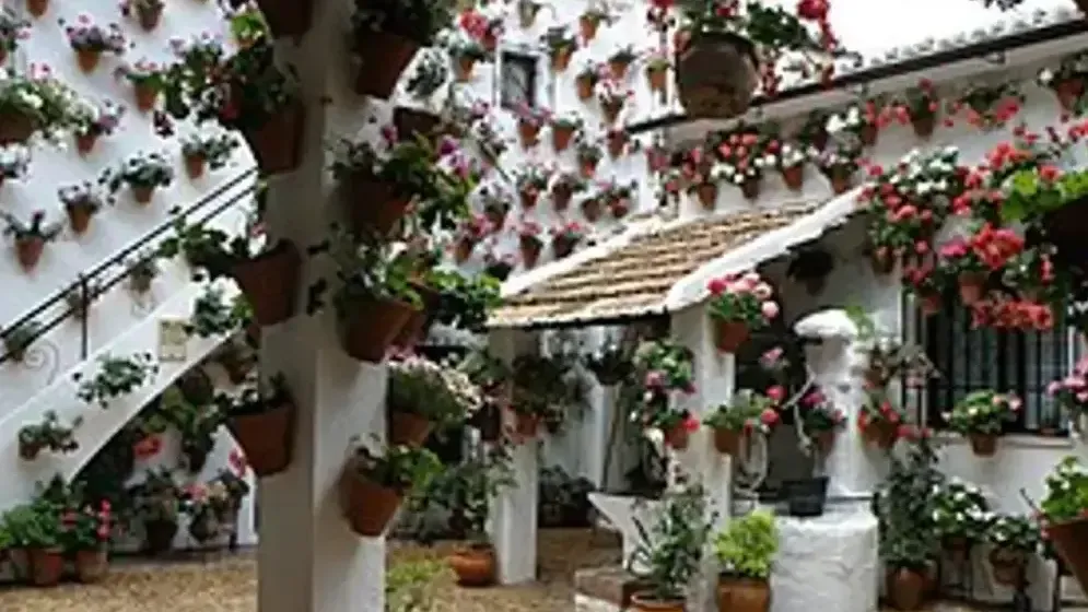 Festival des Patios de Cordoue - Cordoue