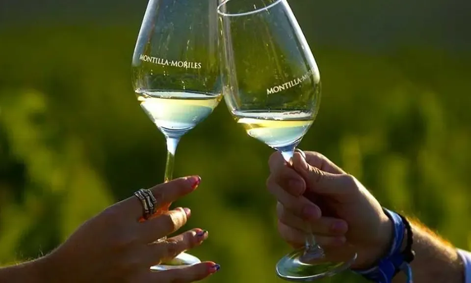 Verres de vins Montilla-Moriles fino et Pedro Ximénez