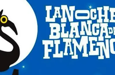 Danseuse de flamenco se produisant lors de la Nuit Blanche du Flamenco à Cordoue