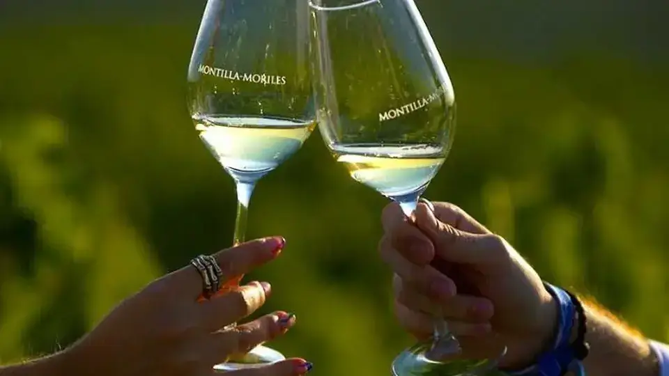 Dégustation de vins Montilla-Moriles en soirée dans une cave à vins du centre de Cordoue