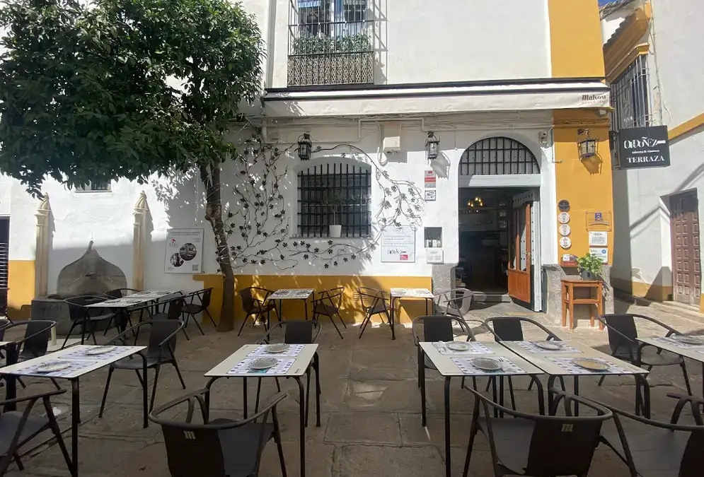 Intérieur de la Vinoteca Ordóñez avec murs historiques et étagères de vins