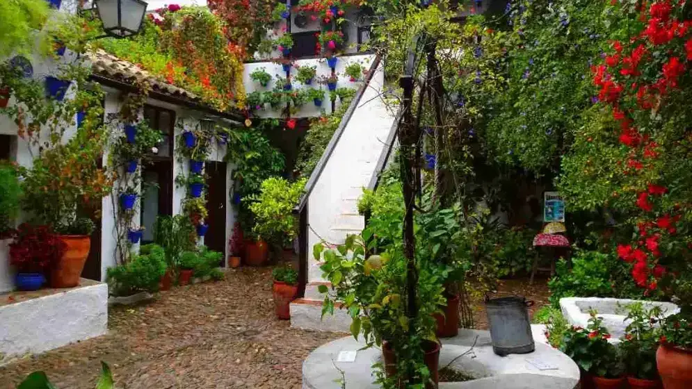 Patio cordouan traditionnel avec géraniums rouges, murs blanchis et fontaine centrale