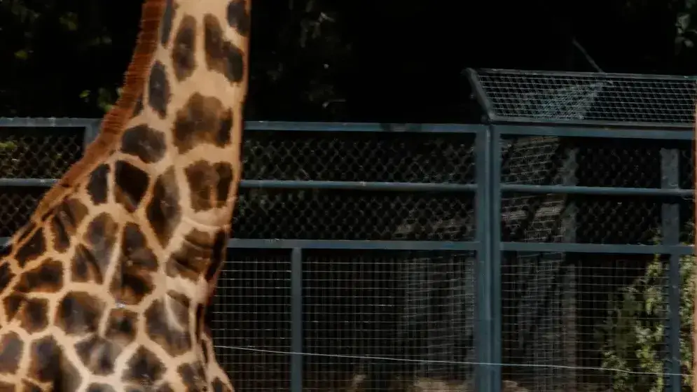 Zoo de Cordoue