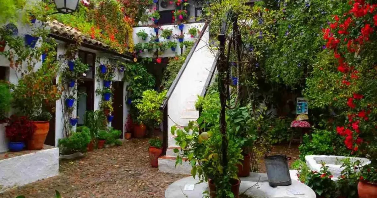 Les patios authentiques : visite guidée de 2 heures