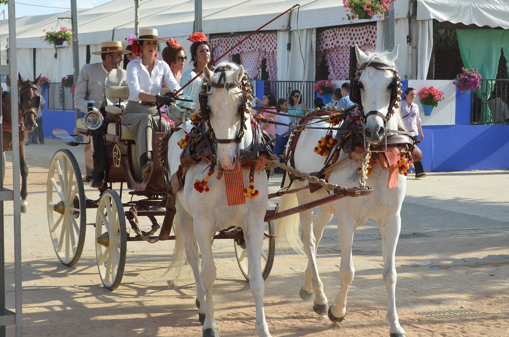 bccdd6ef 8f1a 4fe1 8f32 4df968d71a64