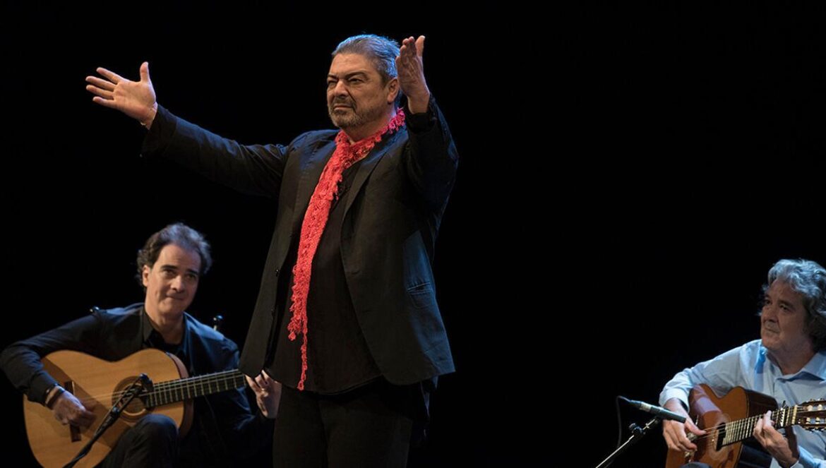 El bailaor Antonio Canales, en una actuación en el Gran Teatro TONI BLANCO