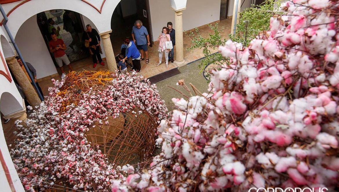 Instalación de Flora en el año 2019 ÁLEX GALLEGOS