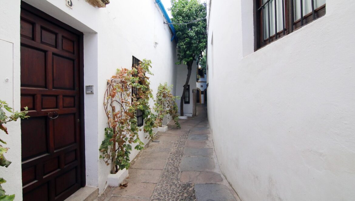 Calleja del Pañuelo / El Día