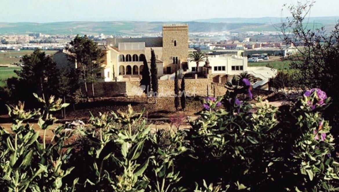 Castillo de la Albaida. MADERO CUBERO