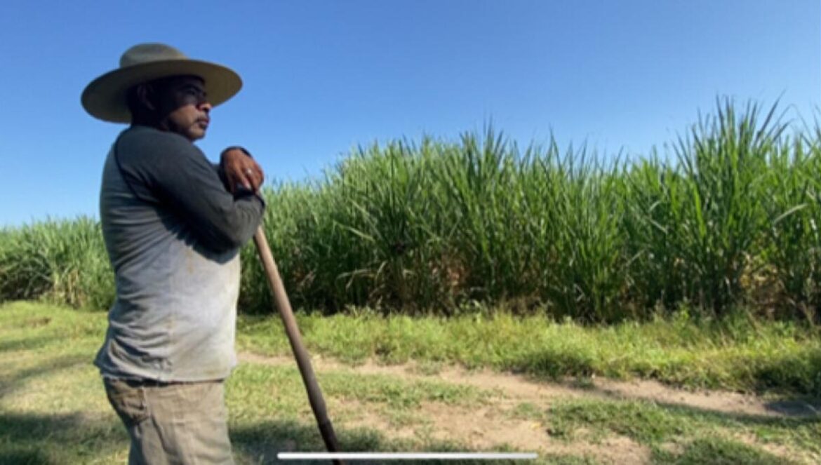 Agroquímicos, la vida en peligro Paramunas, el alma de la montaña