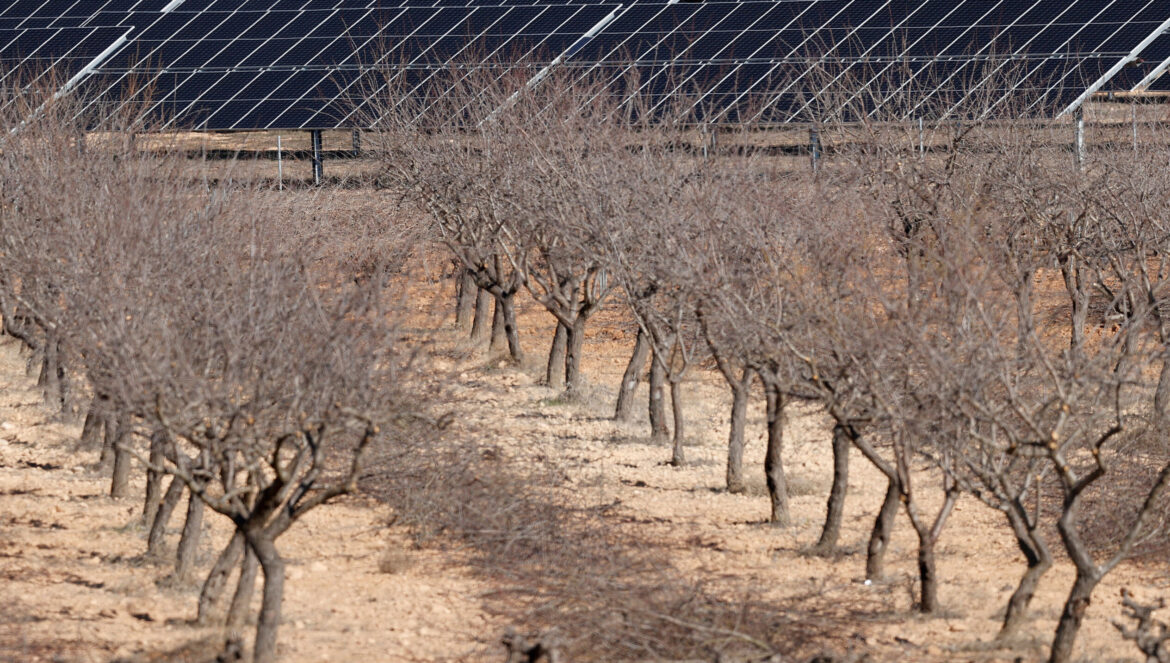 Paneles fotovoltaicos en una zona de cultivo / El Día