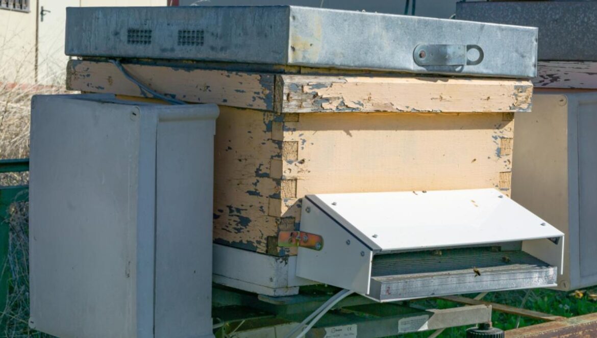Fotografía del contador de abejas.