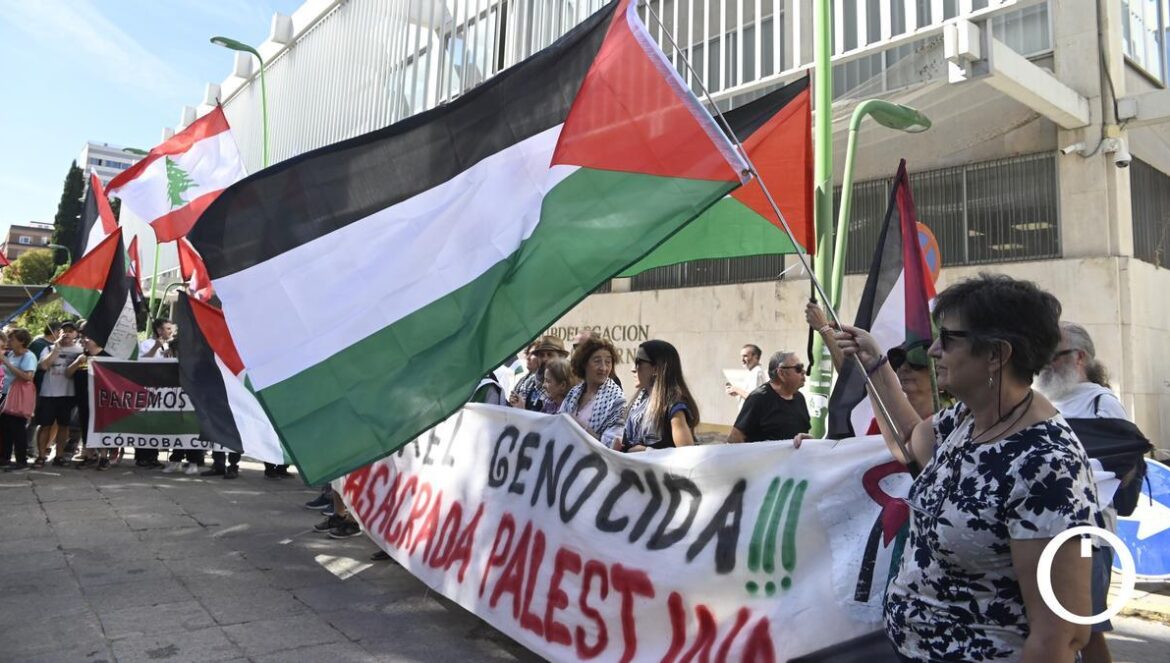 Manifestación por Palestina en la Subdelegación de Gobierno