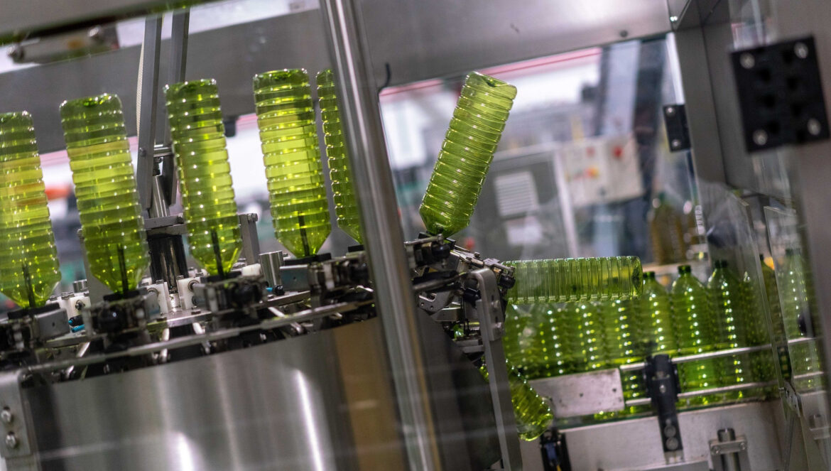 Envasado de aceite de oliva en una cooperativa. / El Día