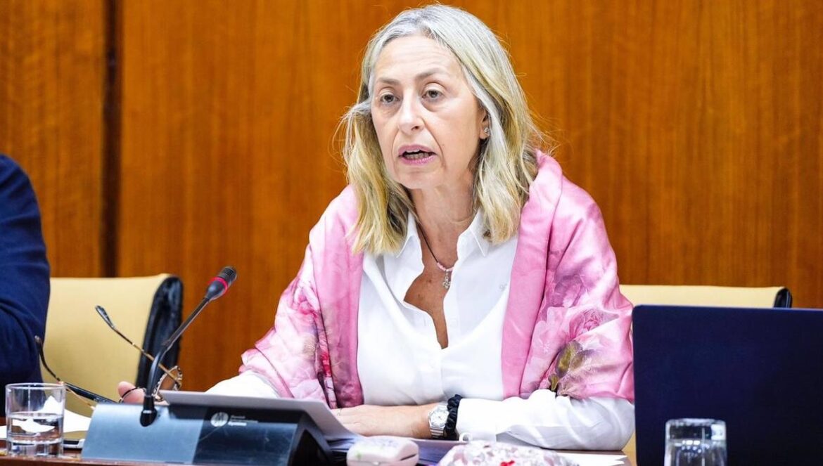 La consejera de Salud y Consumo, Rocío Hernández.