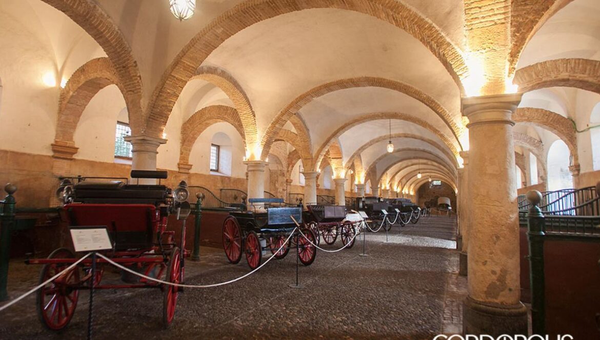 Caballerizas Reales de Córdoba MADERO CUBERO