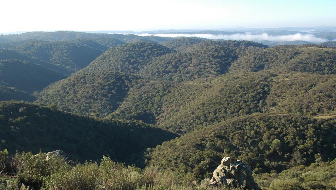 Parque Natural Sierra de Hornachuelos.