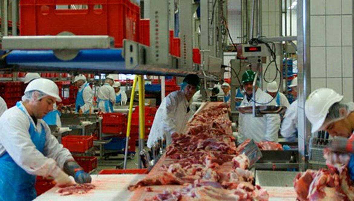 Trabajadores en una empresa de carne | PIXABAY