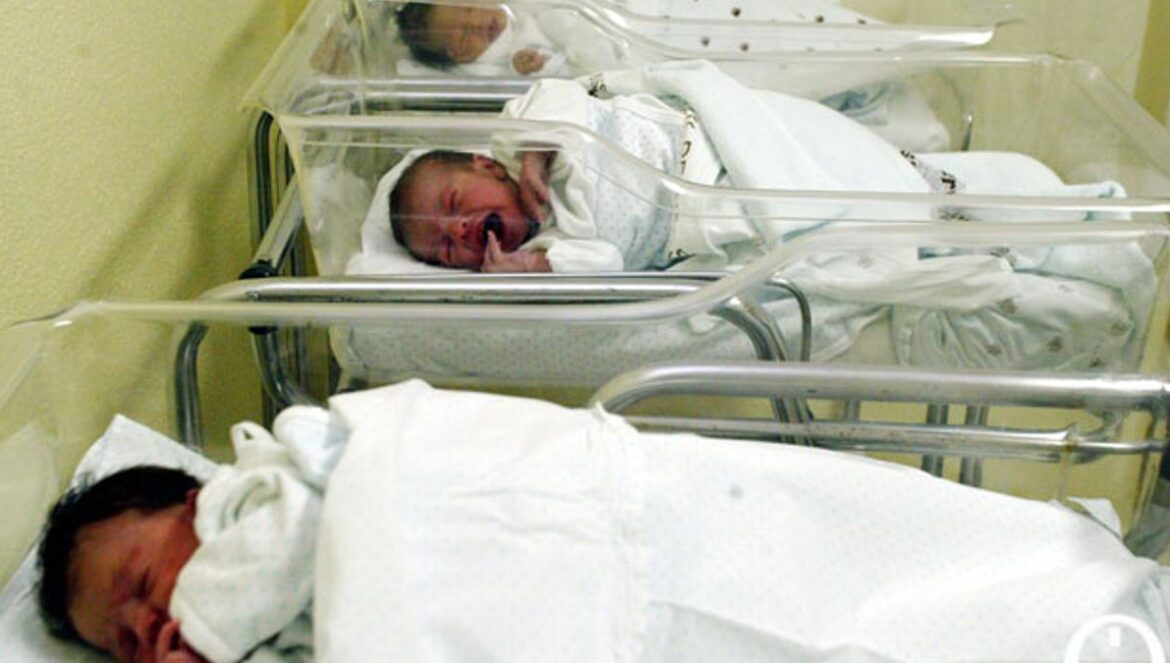 Bebés recién nacidos. MADERO CUBERO