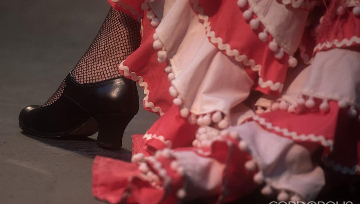 Imagen detalle de una bailaora flamenca TONI BLANCO