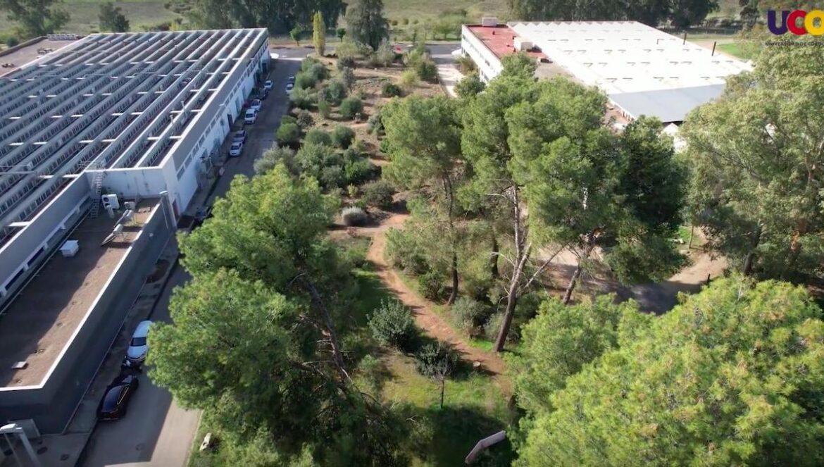 Bosque Universitario de la UCO.