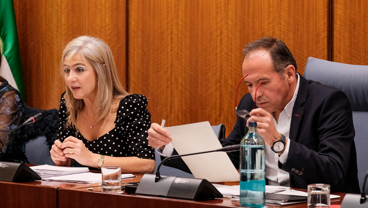 Imagen de archivo de una comparecencia de Patricia del Pozo en la Comisión de Cultura del Parlamento andaluz.