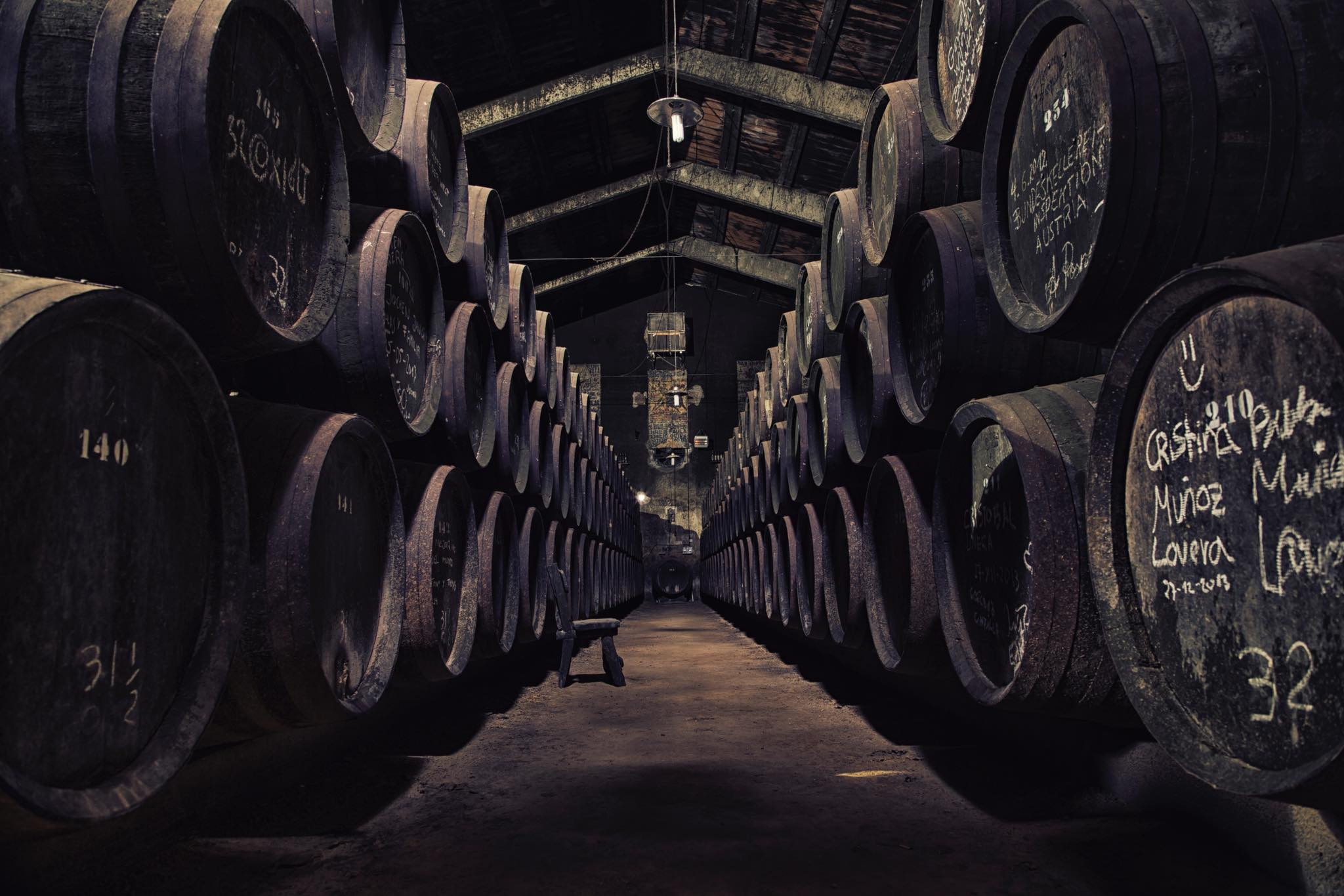 Bodegas Toro Albalá / Redes Toro Albalá