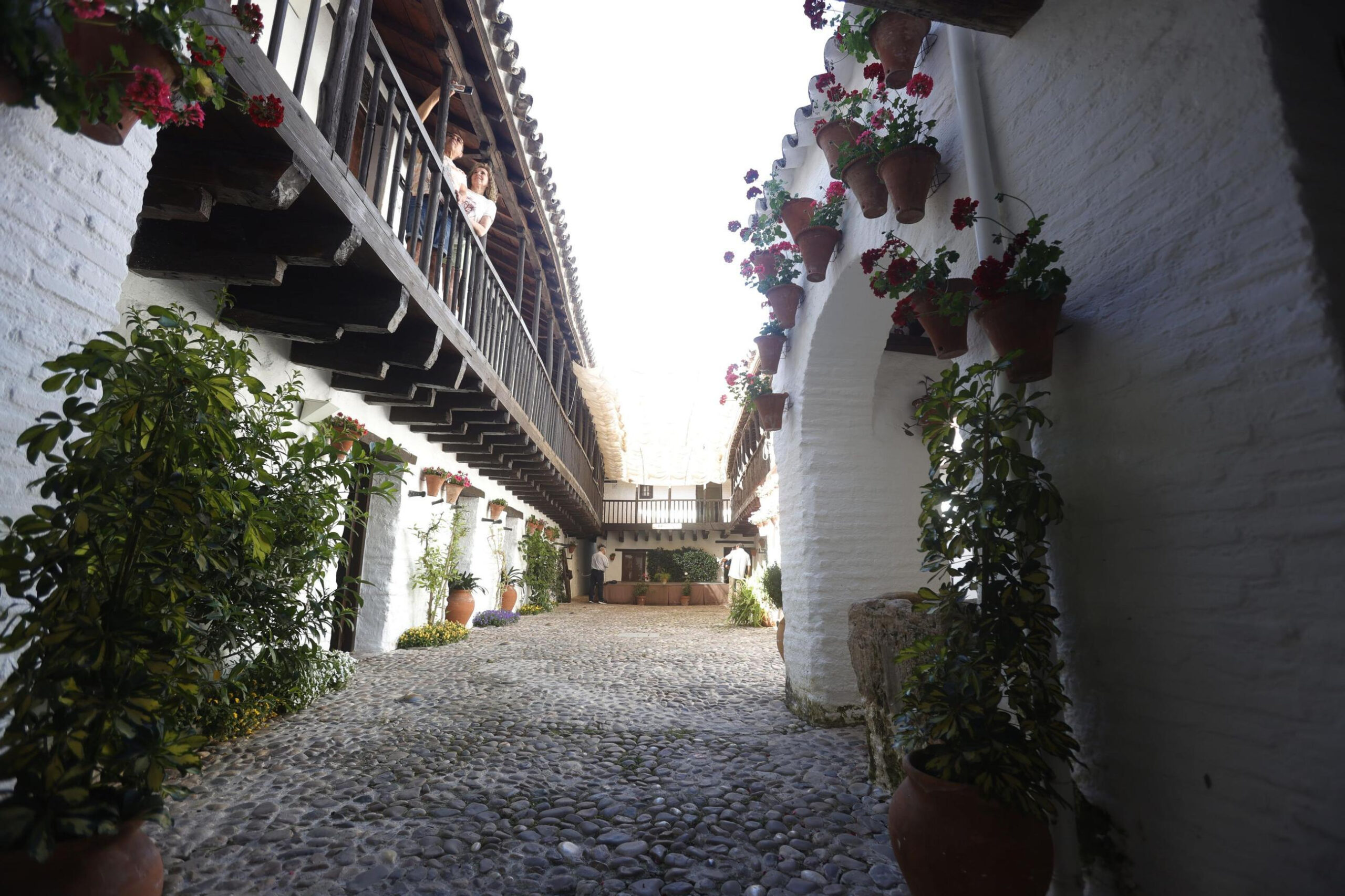 Posada del Potro / Salas / EFE