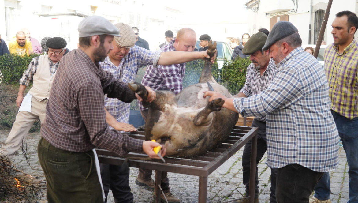 Fiesta de la Matanza de Alcaracejos / Sánchez Ruiz