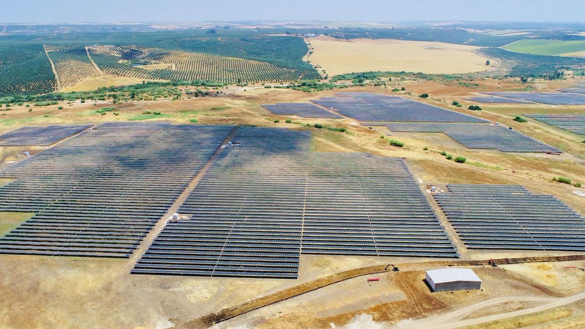 Proyección de 'Vidas irrenovables'.