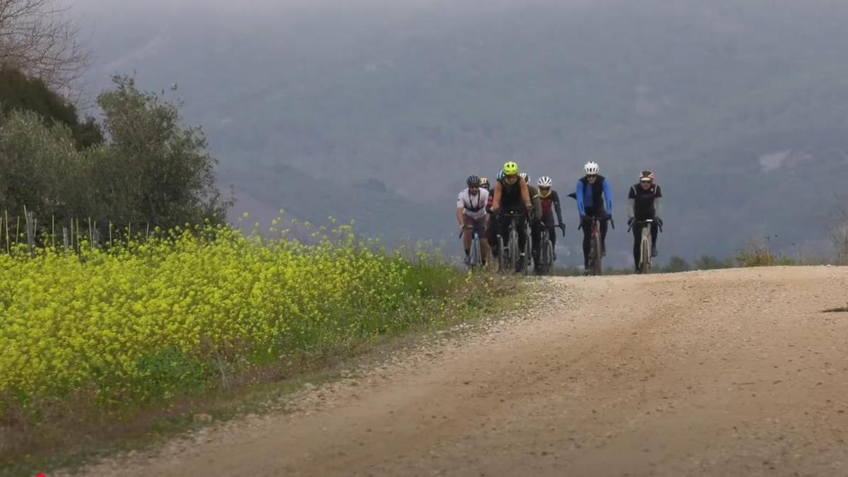 Un grupo de ciclistas, entre Villafranca y El Carpio.