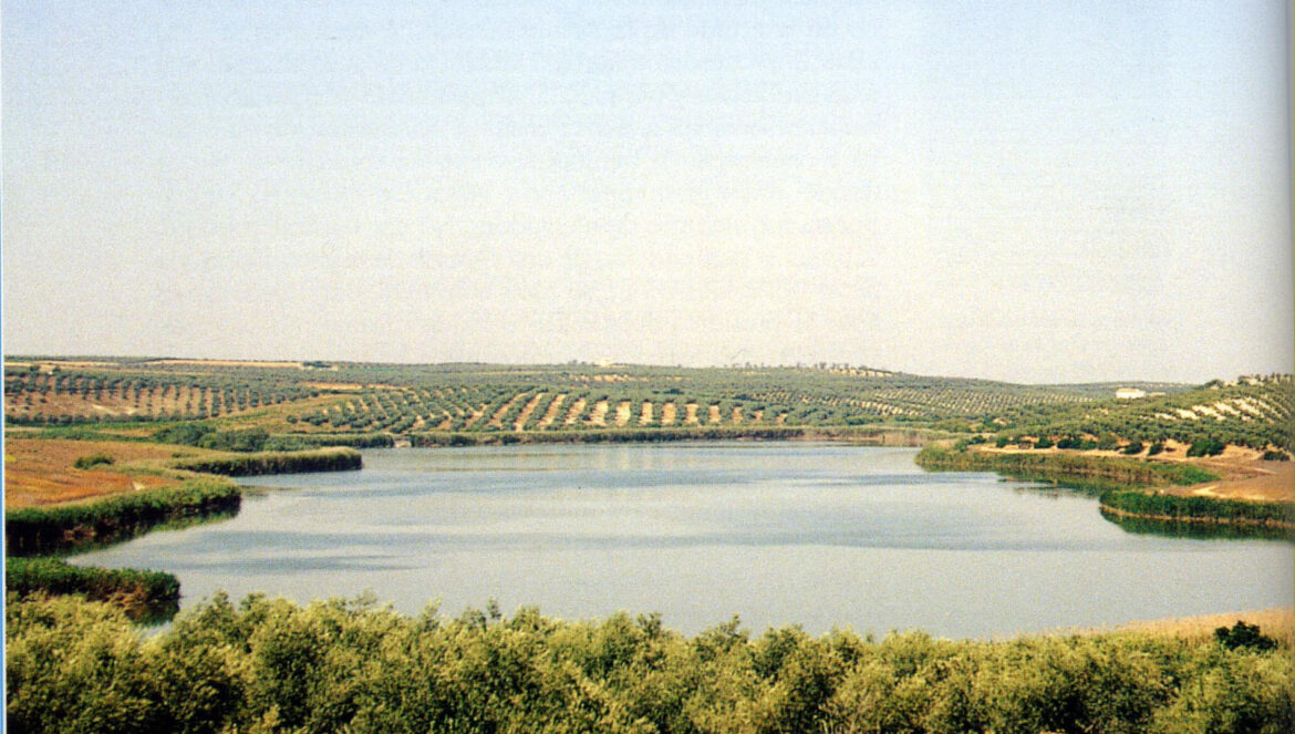La Laguna de Zóñar / El Día
