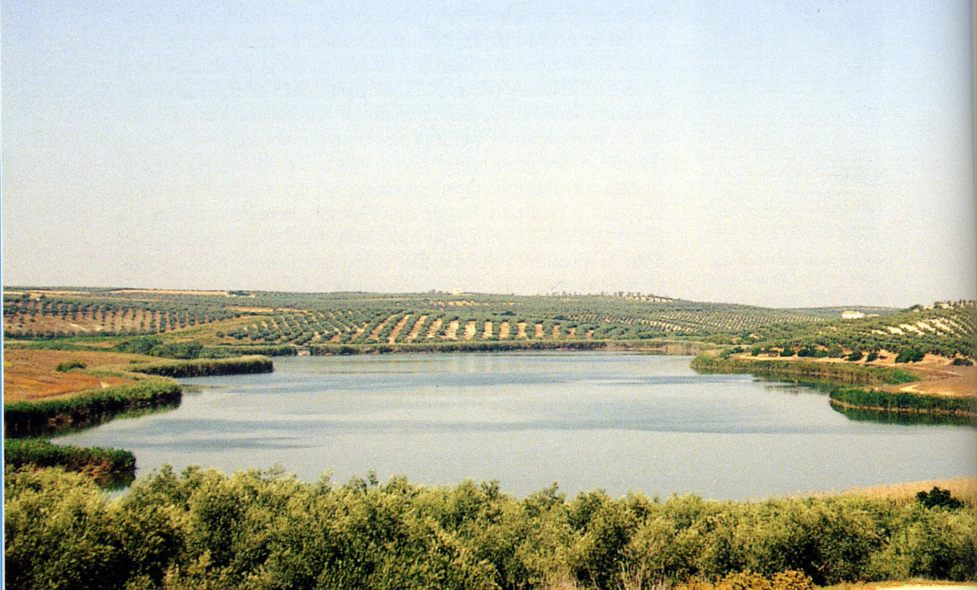 La Laguna de Zóñar / El Día
