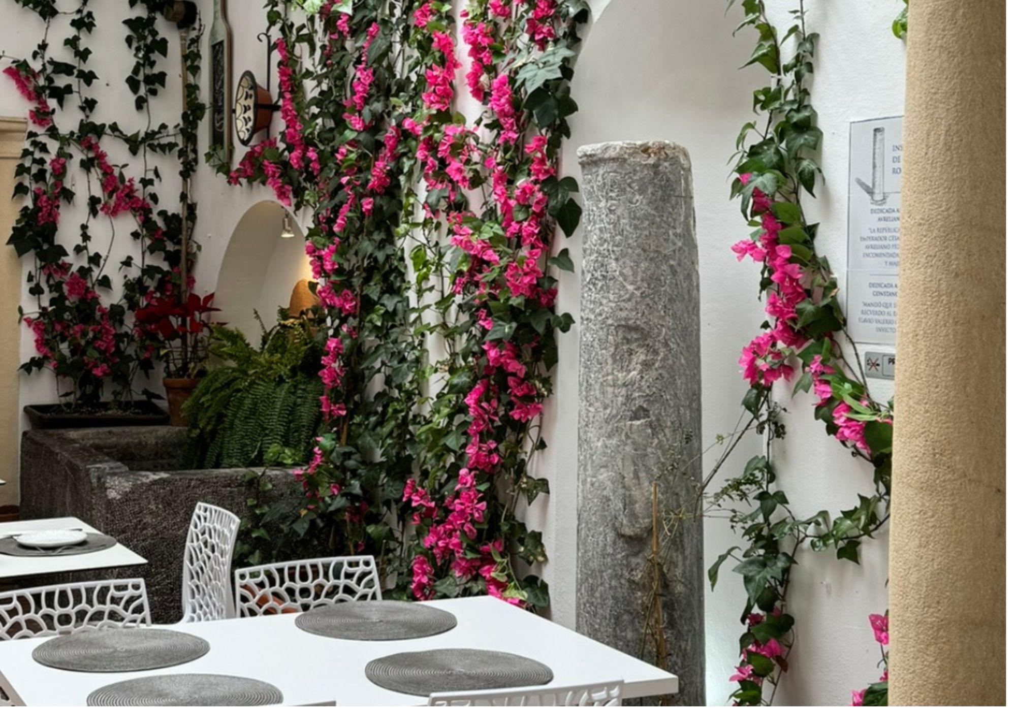 Restaurante Patio Romano / Redes Patio Romano