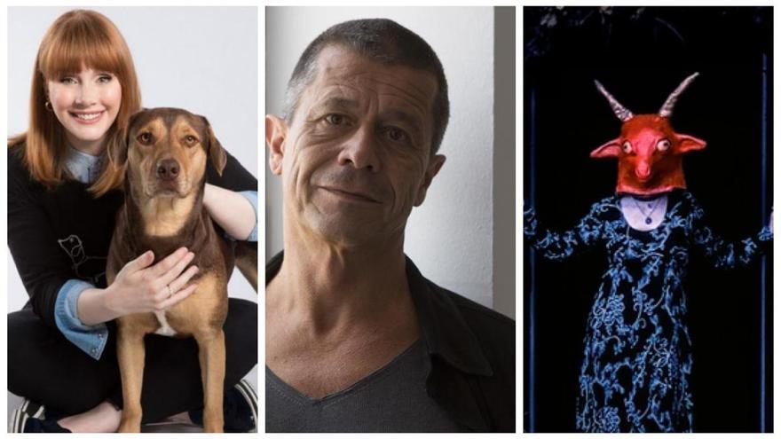 Imágenes de “Pets”, de Bryce Dallas Howard, “Carrère, el escritor y el asesino”, de Camille Juza y “El reino de Satán”, de Scott Cummings / REDACCIÓN