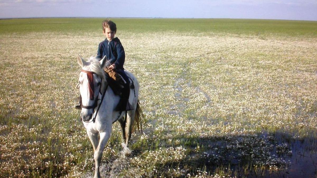 Noé Garrido, en Doñana Adrián Pujol Leo y Noé Garrido jugando con zorro de Doñana Héctor Garrido Noé Garrido, junto a la casa de su infancia, en Doñana Adrián Pujol Noé Garrido Adrián Pujol Noé Garrido, con la laguna de Santa Olalla al fondo Adrián Pujol