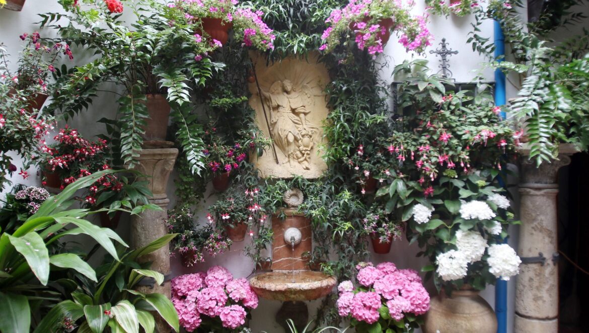 Fuente de San Rafael del Patio de San Juan de Palomares, 8 / El Día