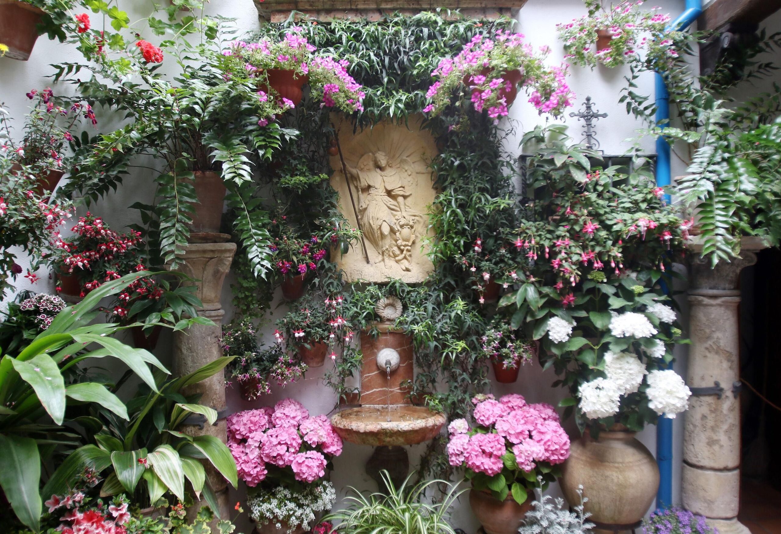 Fuente de San Rafael del Patio de San Juan de Palomares, 8 / El Día