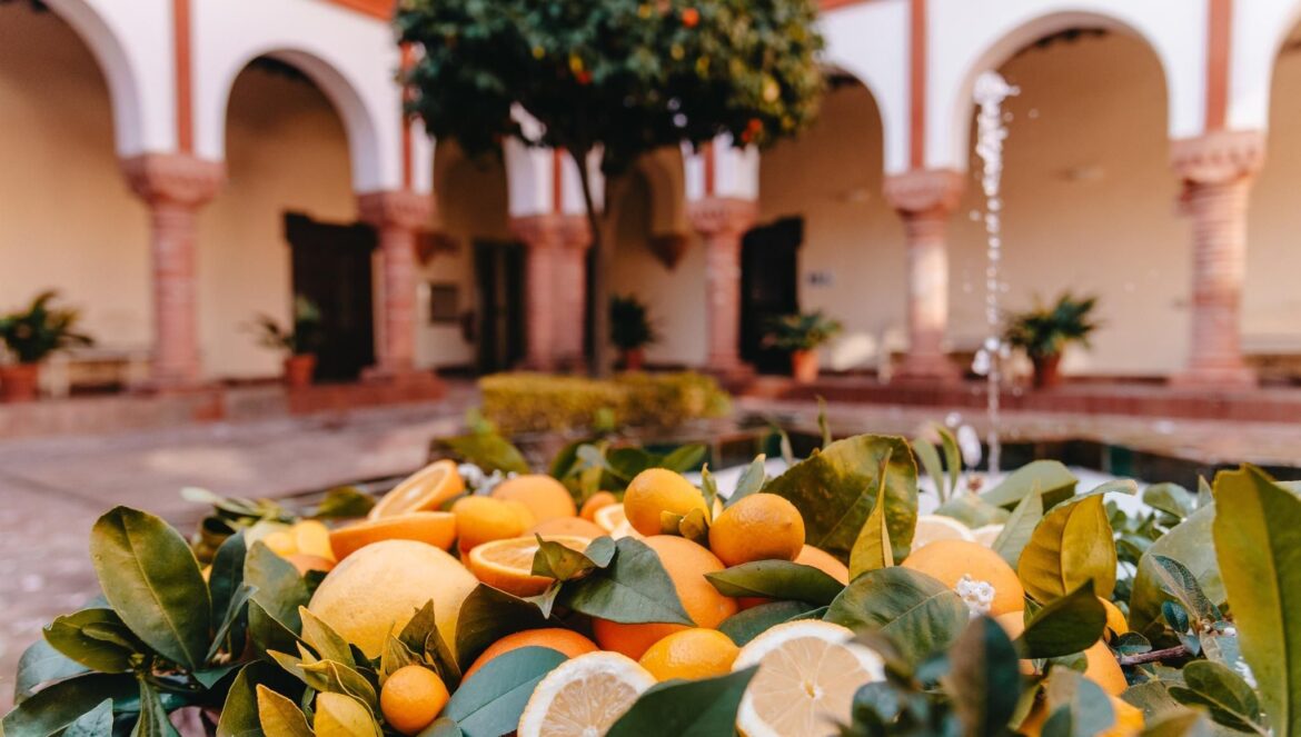 Naranjas de Palma del Río / Ayuntamiento de Palma del Río