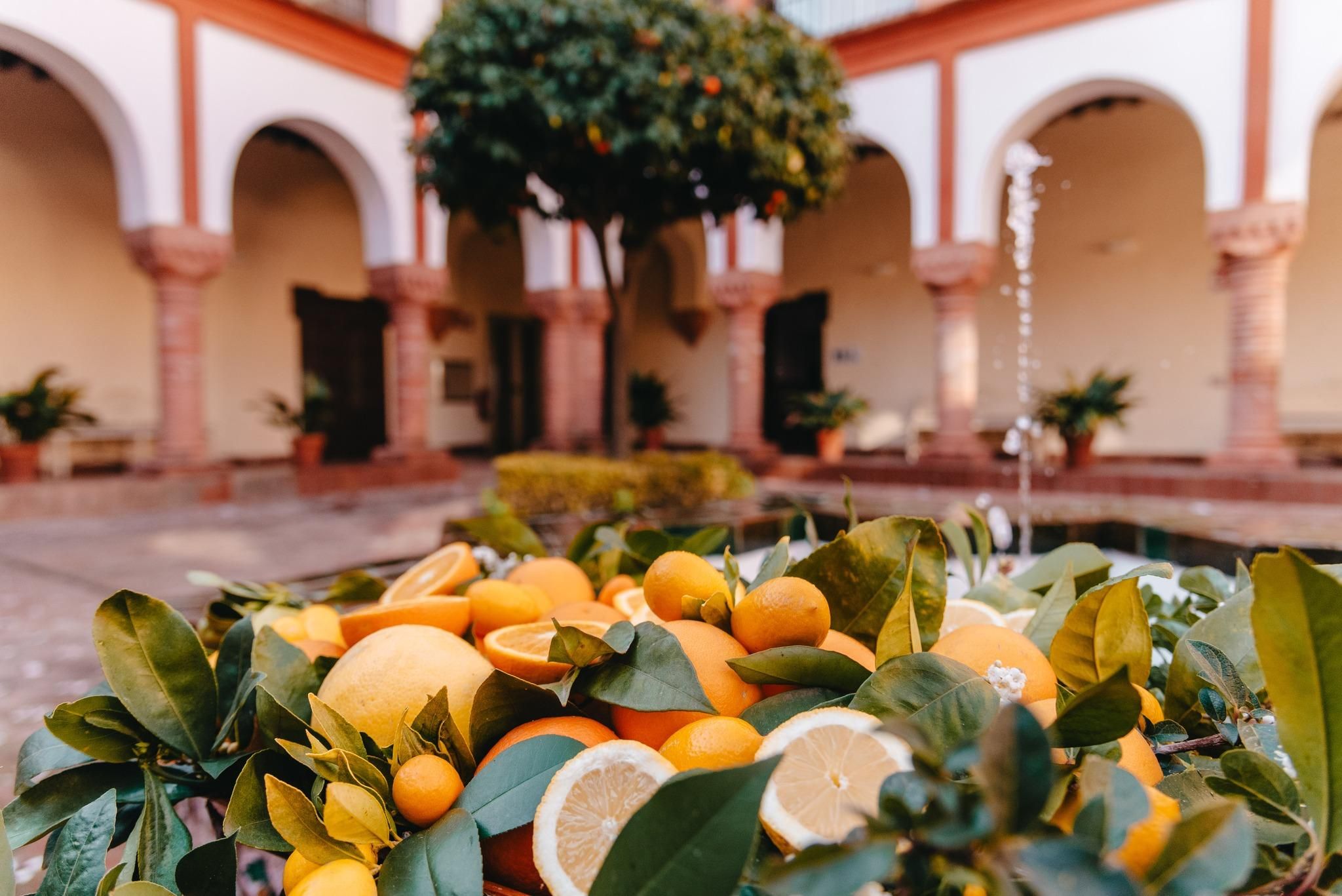 Naranjas de Palma del Río / Ayuntamiento de Palma del Río