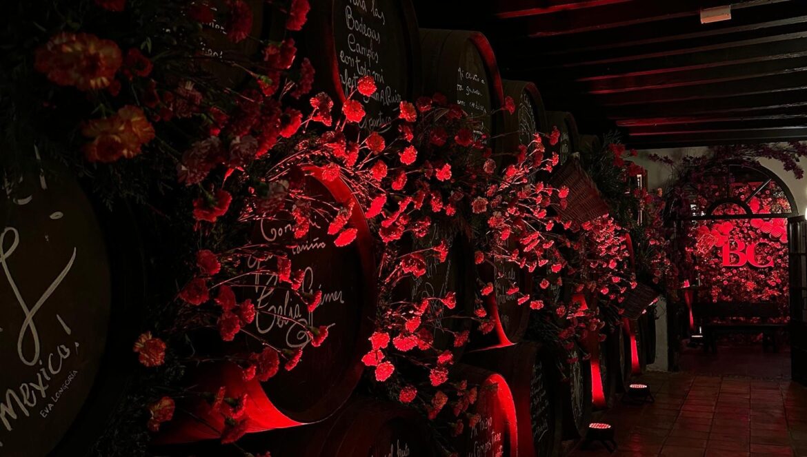 Bodegas Campos / Redes Bodegas Campos