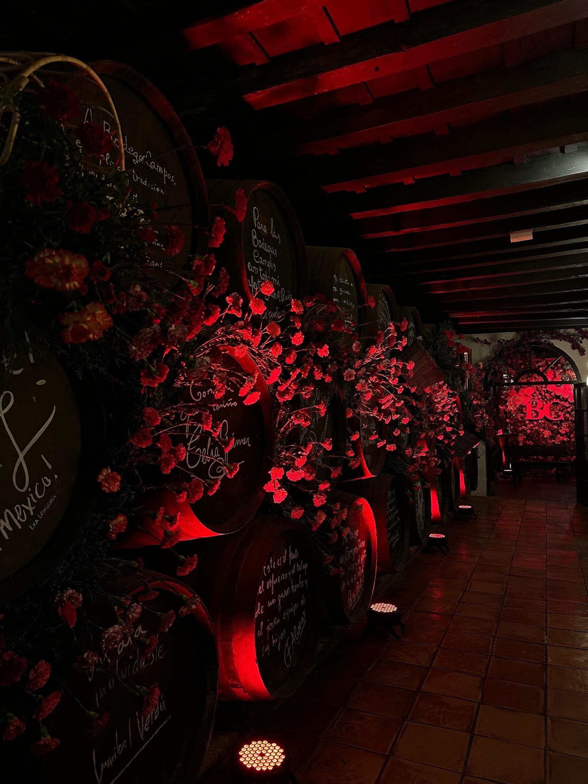 Bodegas Campos / Redes Bodegas Campos