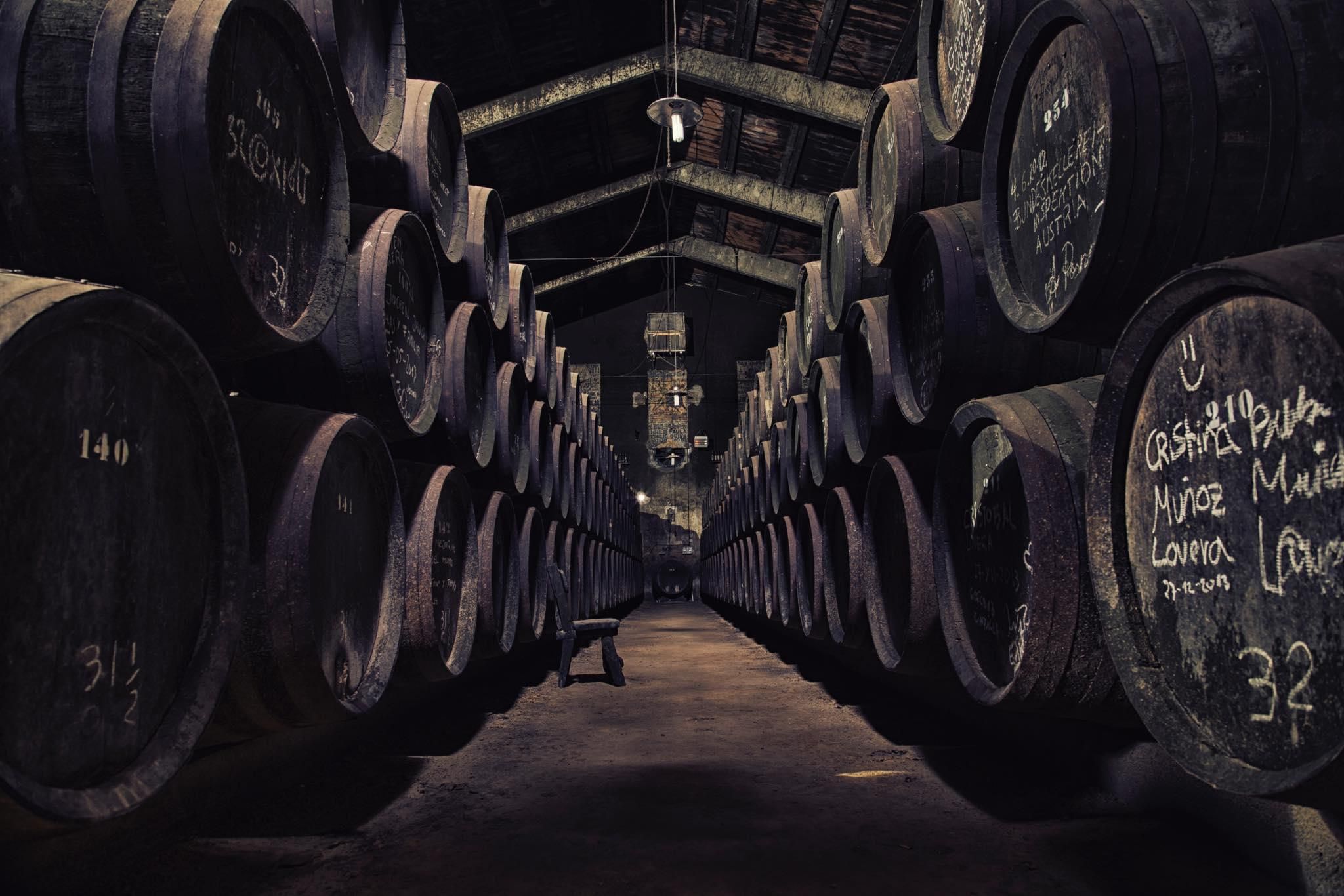 Bodegas Toro Albalá / Redes Toro Albalá