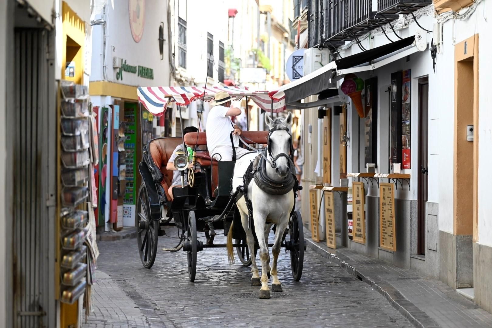 Judería de Córdoba / Juan Ayala