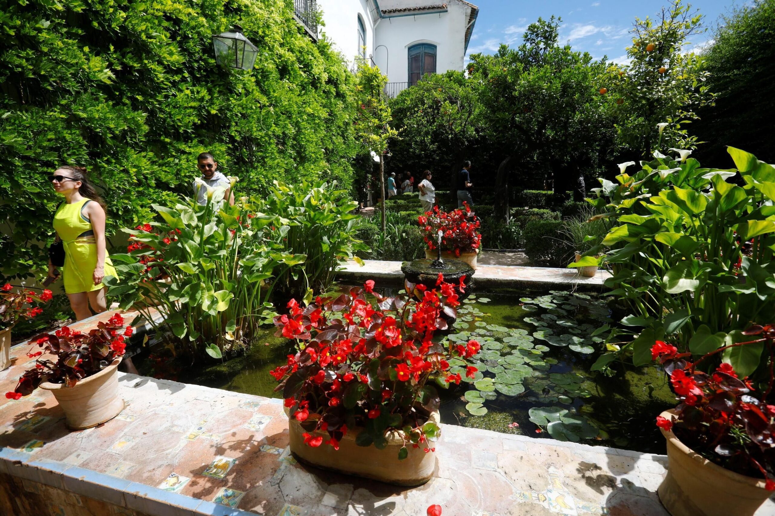 Patio de los Naranjos del Palacio de Viana / Miguel Ángel Salas