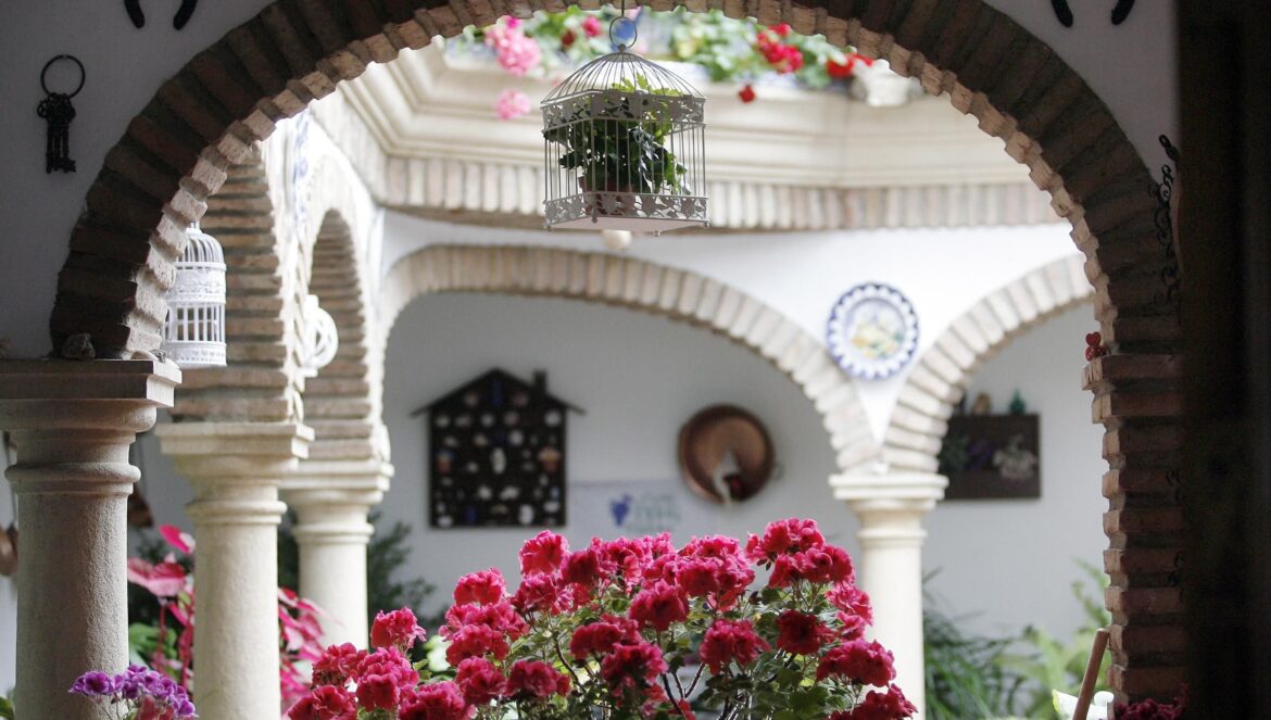 Patio de Zarco, 15 / El Día